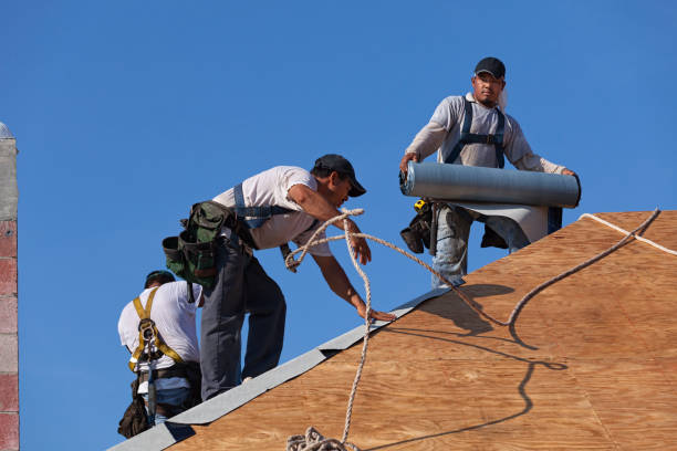 Best Emergency Roof Repair  in Carlisle, KY