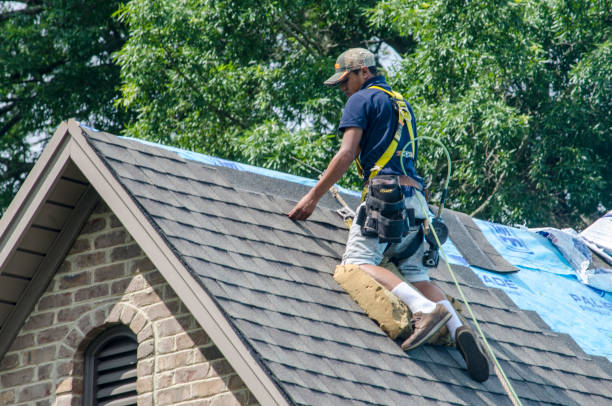 Best New Roof Installation  in Carlisle, KY